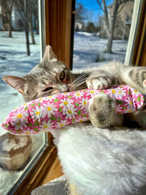 Catnip & Valerian Root Cat Toys (Kickers)
