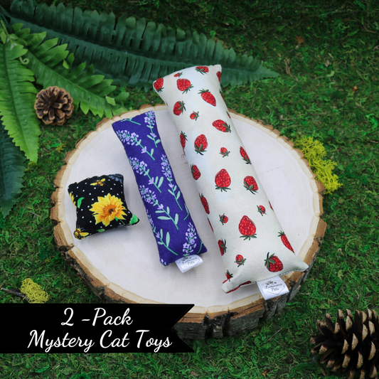 2 Pack Mystery Catnip with Valerian Root Cat Toys