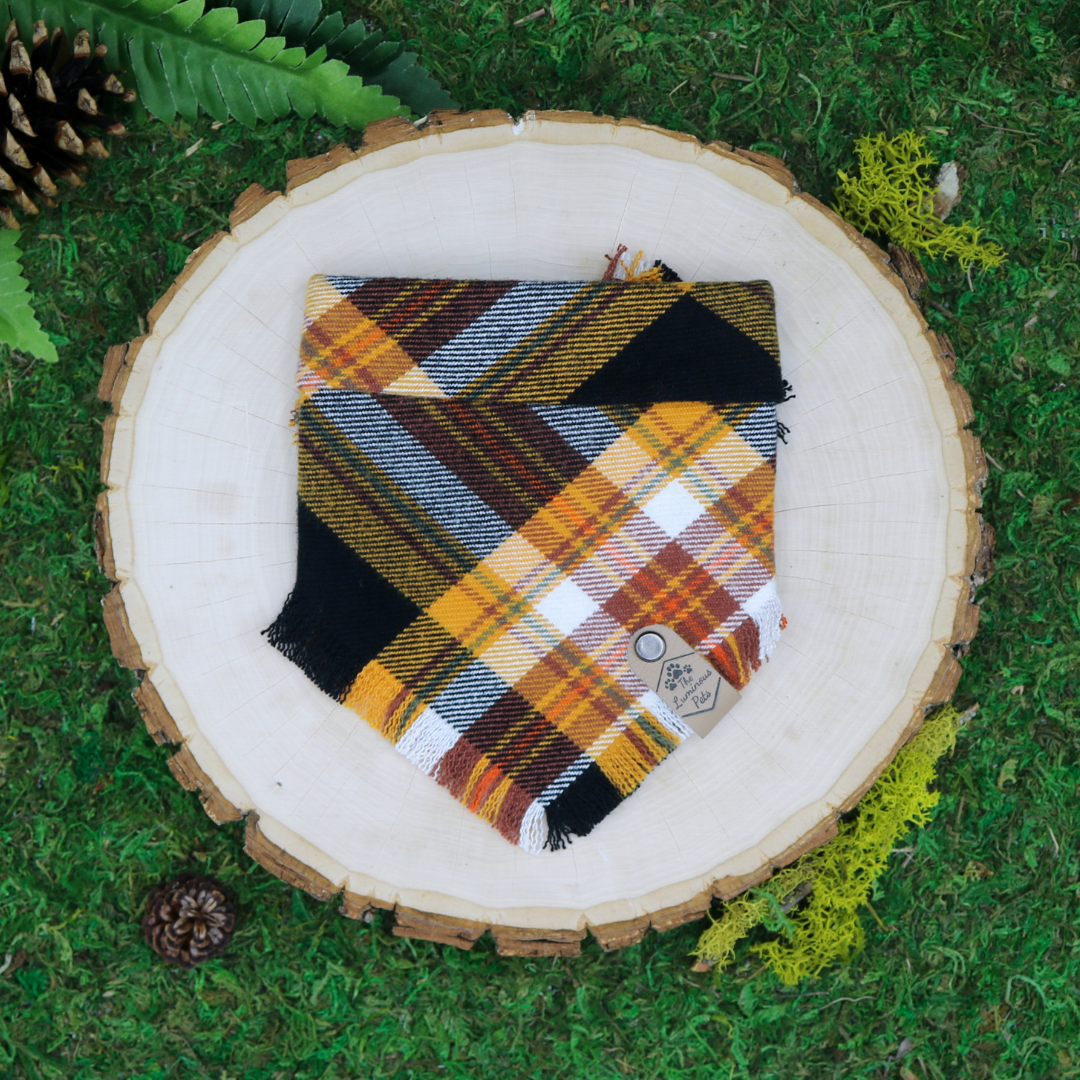 Black and yellow plaid snap on pet bandana by The Luminous Pets