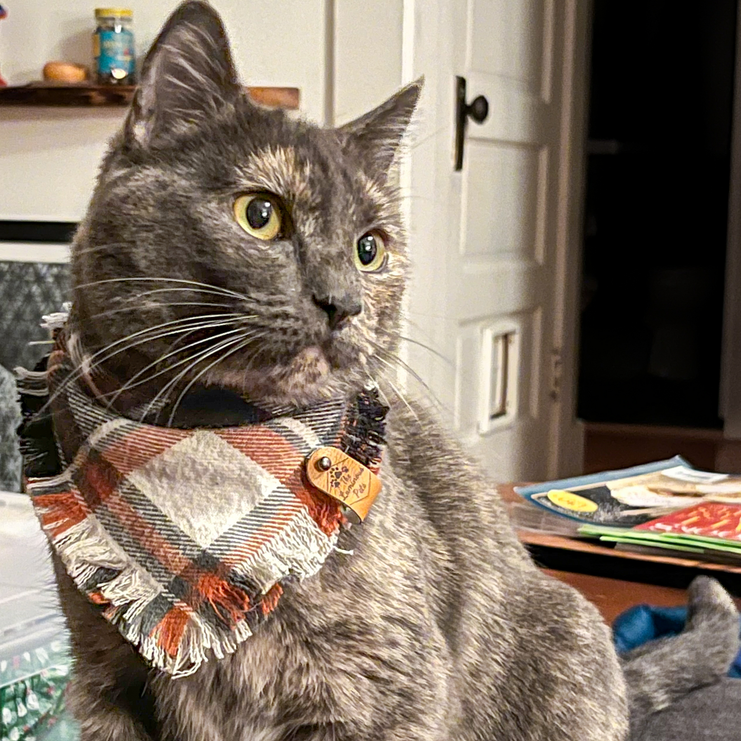 Cute dilute torti in bandana | Handmade cat accessories by The Luminous Pets