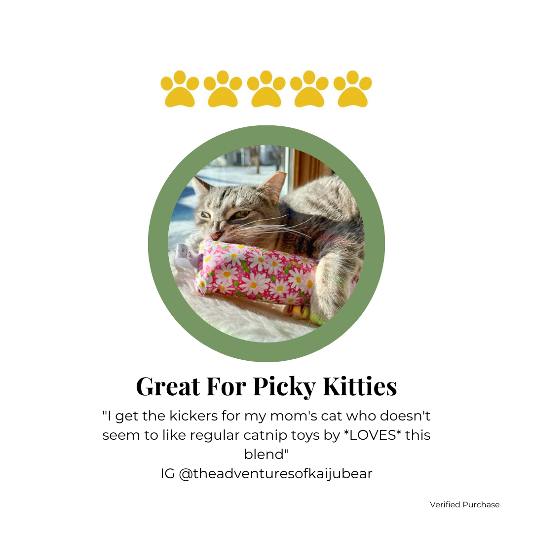 Review for Catnip and Valerian Root Cat Toy for The Luminous Pets