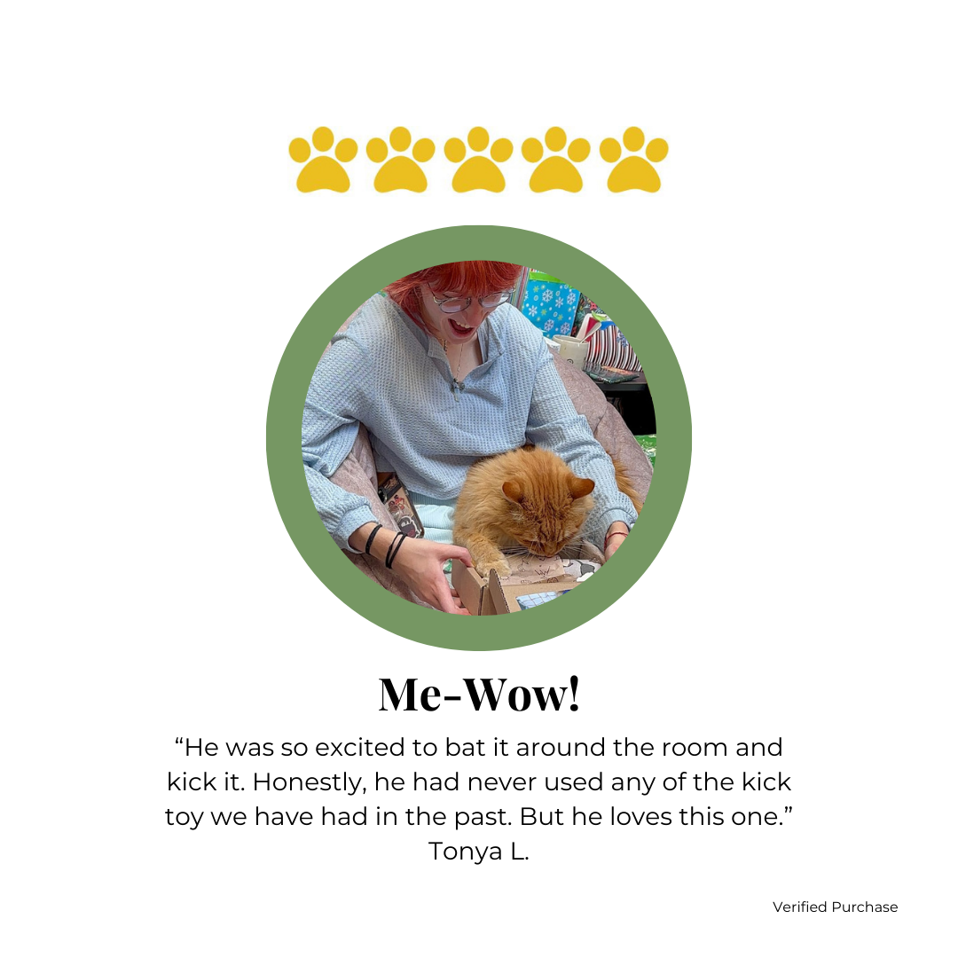Cat Toy Review for The Luminous Pets Catnip and Valerian Root Handmade Toys