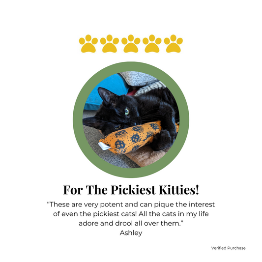 Customer Review of Cat Toy by The Luminous Pets 