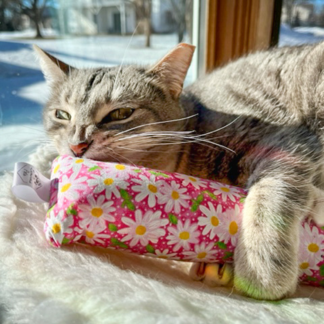 Grey Tabby with Catnip Toy with Valerian Root | Handmade Cat Toys by The Luminous Pets