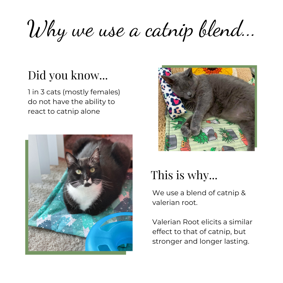 The Luminous Pets uses a Catnip with Valerian Root Blend