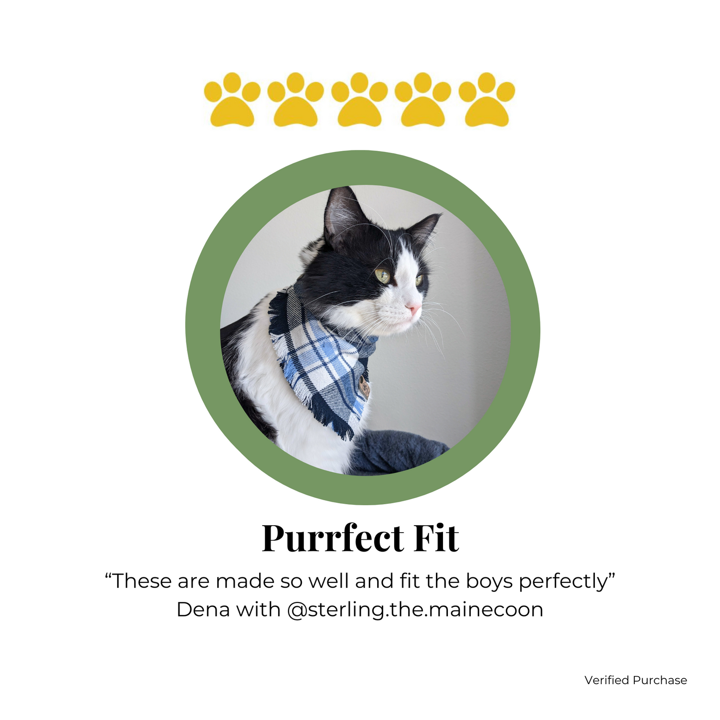 Customer Review of Snap on Bandanas by The Luminous Pets