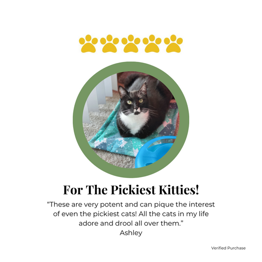 Customer Review of The Luminous Pets Catnip and Valerian Root