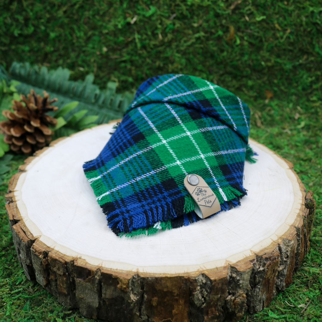 Frayed plaid snap on pet bandana by The Luminous Pets | Blue and green plaid