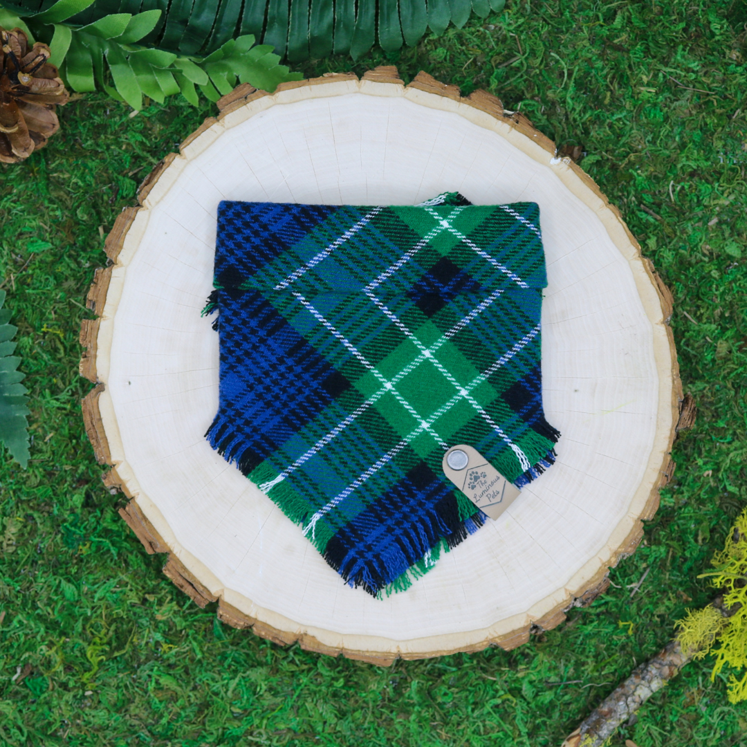 Frayed plaid snap on pet bandana by The Luminous Pets | Blue and green plaid