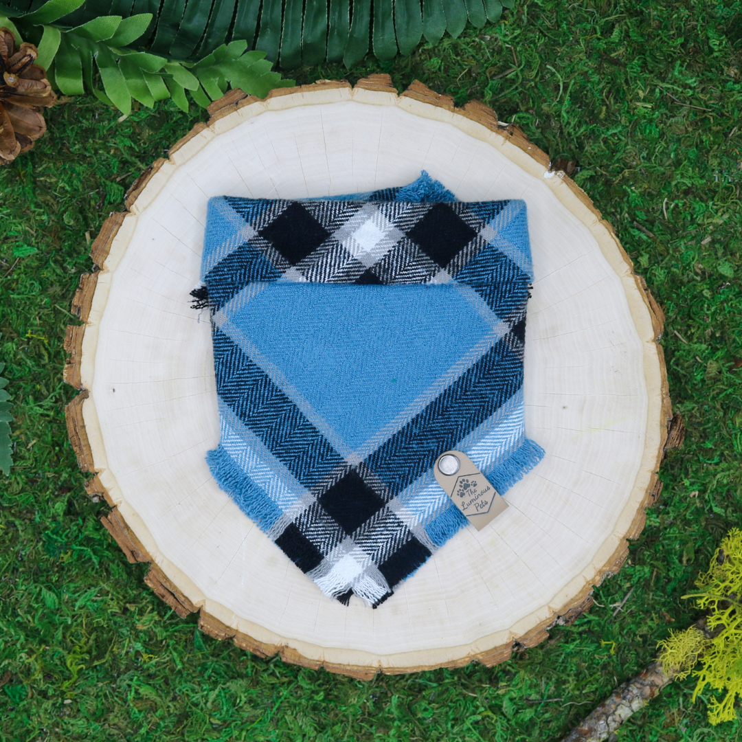 Frayed plaid snap on pet bandana by The Luminous Pets | Blue and black plaid