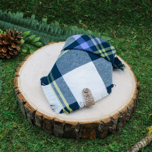 Frayed plaid snap on pet bandana by The Luminous Pets | Blue and white plaid