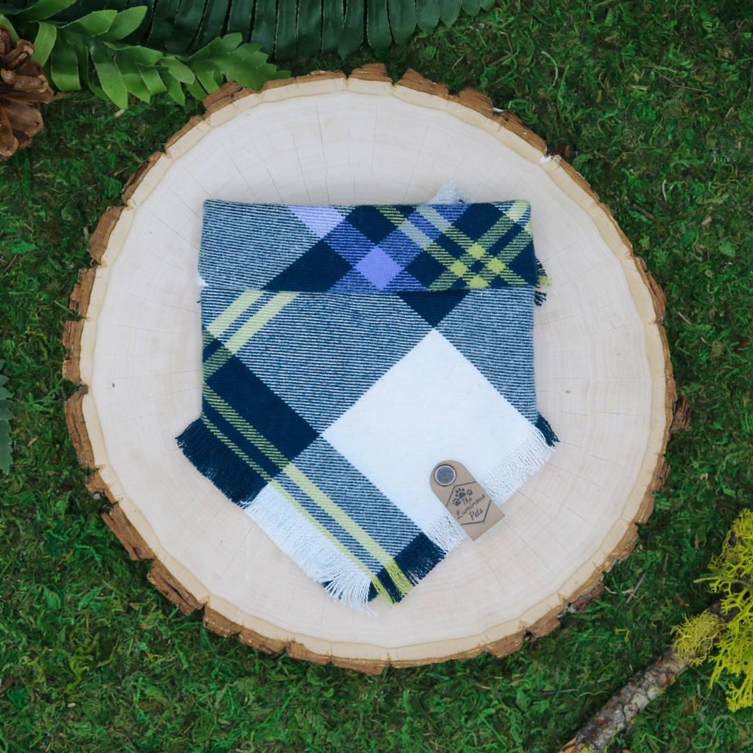 Frayed plaid snap on pet bandana by The Luminous Pets | Blue and white plaid