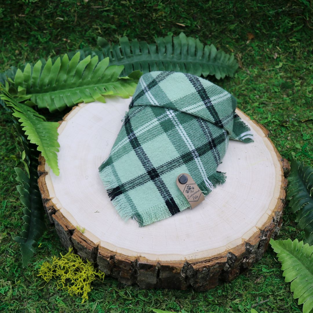 Tieton Frayed Snap-On Bandana | Green and White Plaid