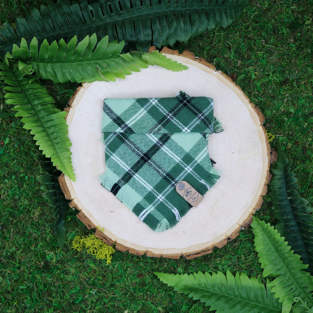 Tieton Frayed Snap-On Bandana | Green and White Plaid