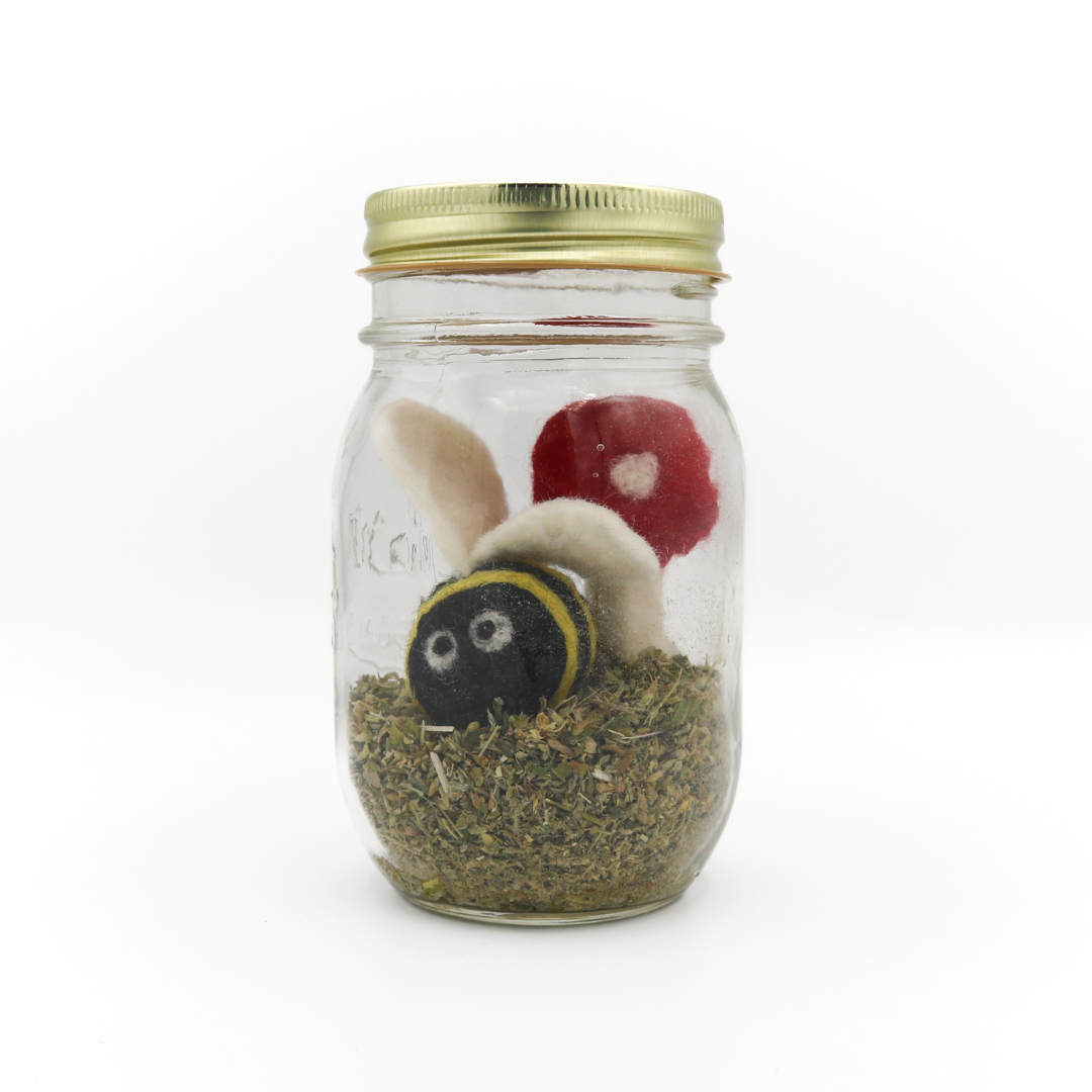 Catnip with valerian root jar with wool toys