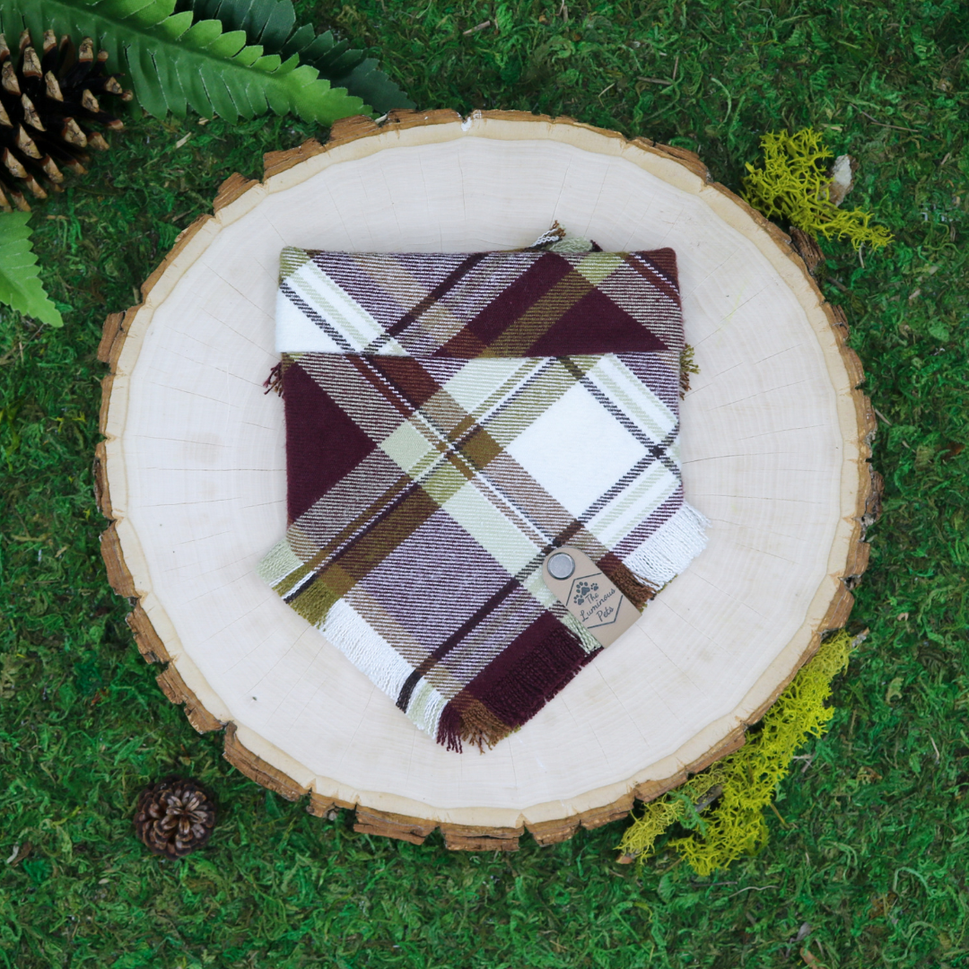 Red and gold plaid frayed snap on pet bandana by The Luminous Pets