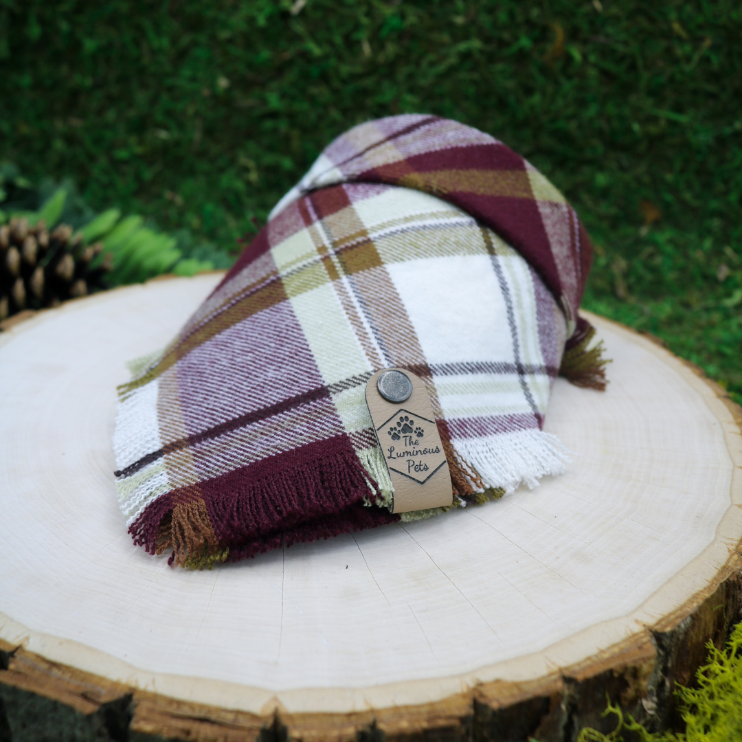 Red and gold plaid frayed snap on pet bandana by The Luminous Pets