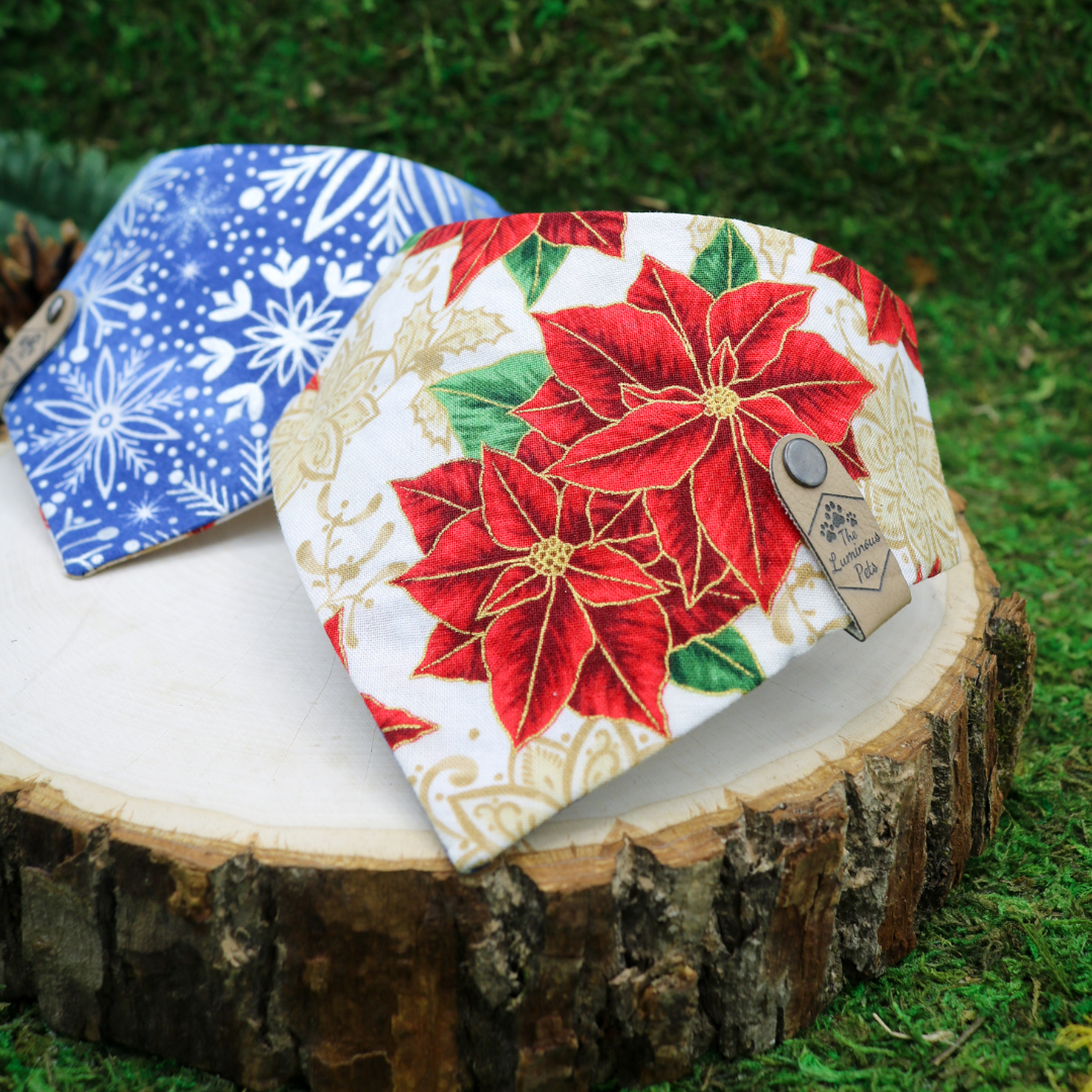 Reversible pet bandana with snap on by The Luminous Pets _ Winter Poinsettias with gold and metallic silver snowflakes