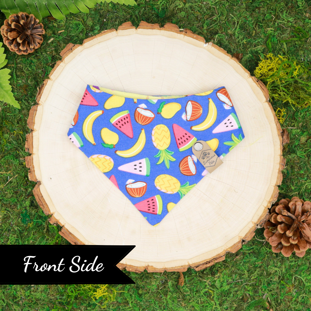 Reversible snap on cat and dog bandana | Summer fruits and popsicles | Handmade by The Luminous Pets