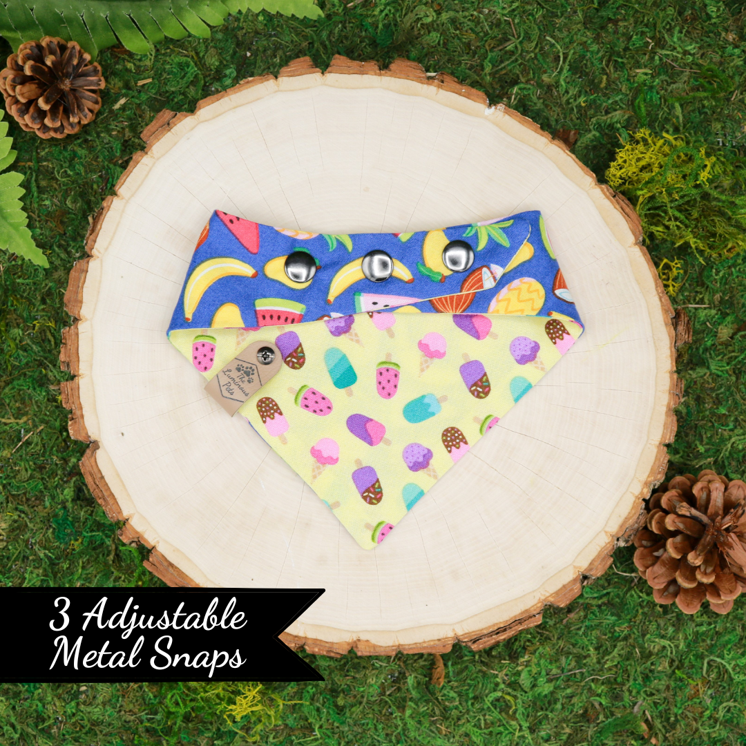 Reversible snap on cat and dog bandana | Summer fruits and popsicles | Handmade by The Luminous Pets