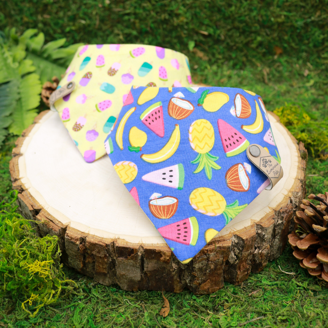 Reversible snap on cat and dog bandana | Summer fruits and popsicles | Handmade by The Luminous Pets