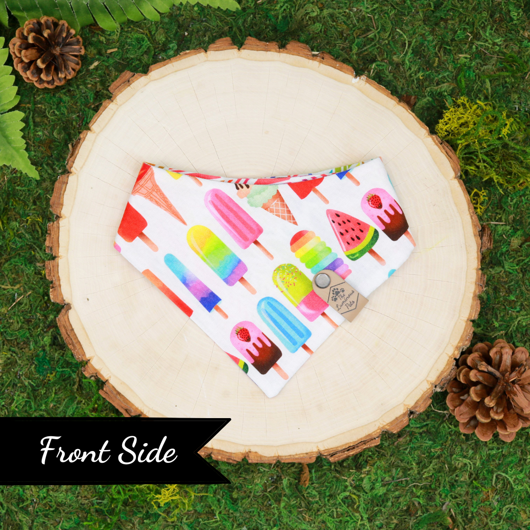 Reversible Snap on Bandanas | Adjustable cat and dog bandanas by The Luminous Pets | Pride Rainbow Ice Creams