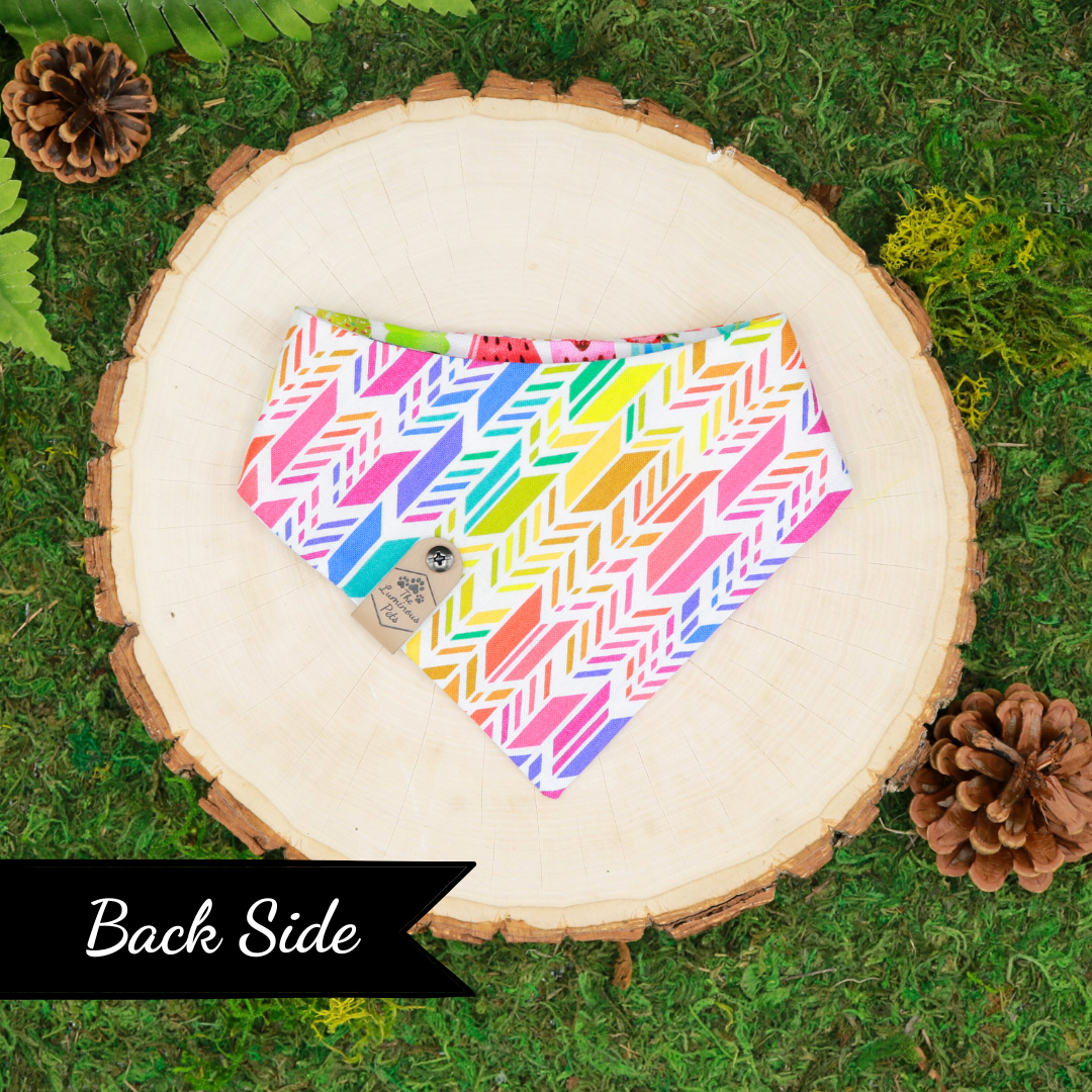 Reversible Snap on Bandanas | Adjustable cat and dog bandanas by The Luminous Pets | Pride Rainbow Ice Creams