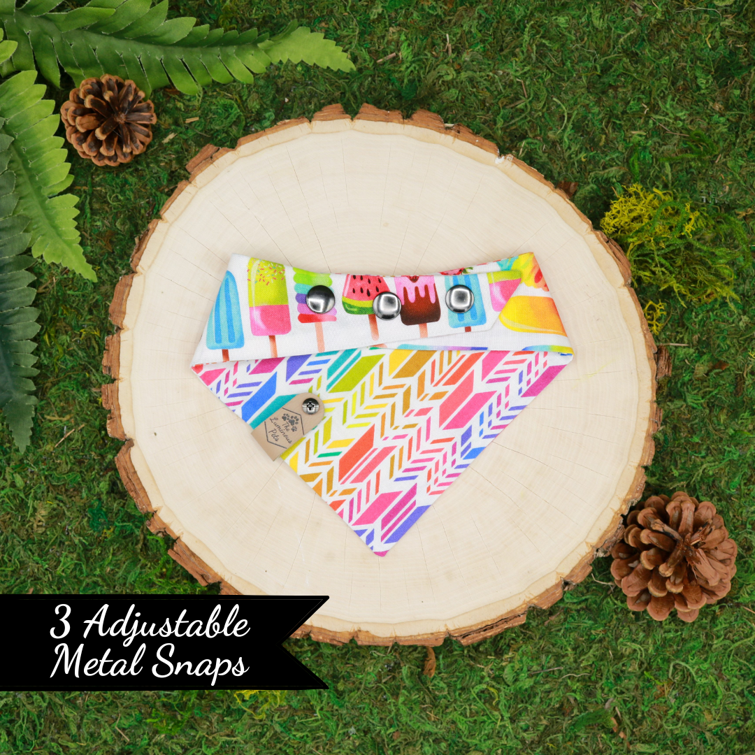 Reversible Snap on Bandanas | Adjustable cat and dog bandanas by The Luminous Pets | Pride Rainbow Ice Creams