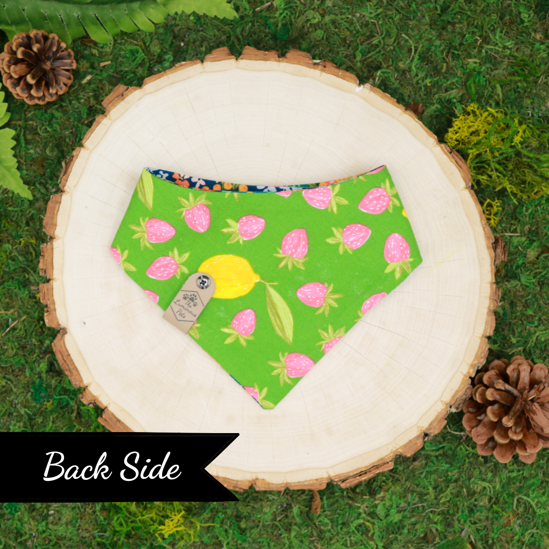 Reversible snap on bandanas for cats and dog_ Handmade pet accessories by The Luminous Pets_ Summer Flowers and Strawberries