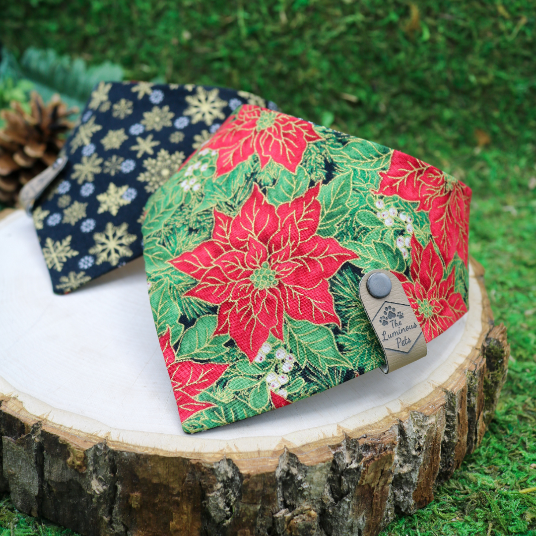 Reversible snap on pet bandanas by The Luminous Pets _ winter poinsettias and golden snowflakes