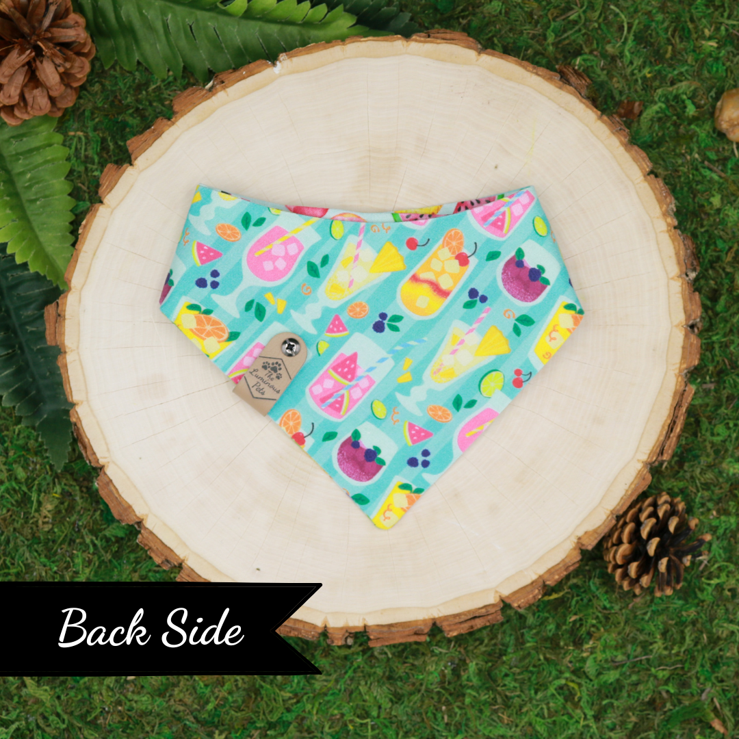 Pool Floaties & Cocktails Snap On Pet Bandana