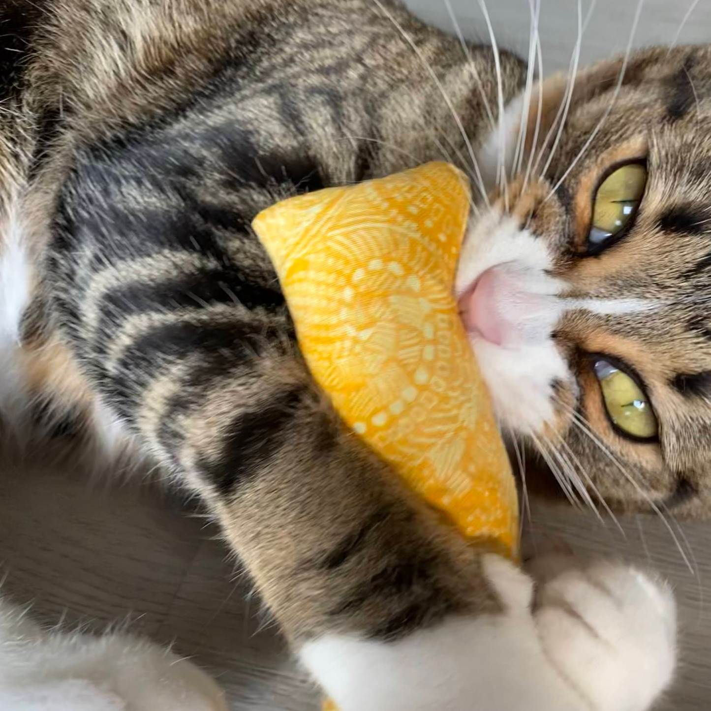 Brown tabby cat with catnip and valerian root toy by The Luminous Pets