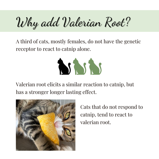 The Luminous Pets why we use catnip with valerian root blend in our cat toys