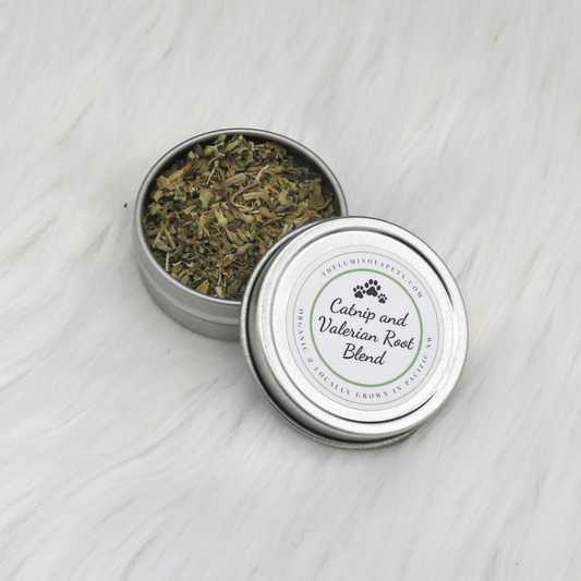 Catnip and Valerian Root Blend