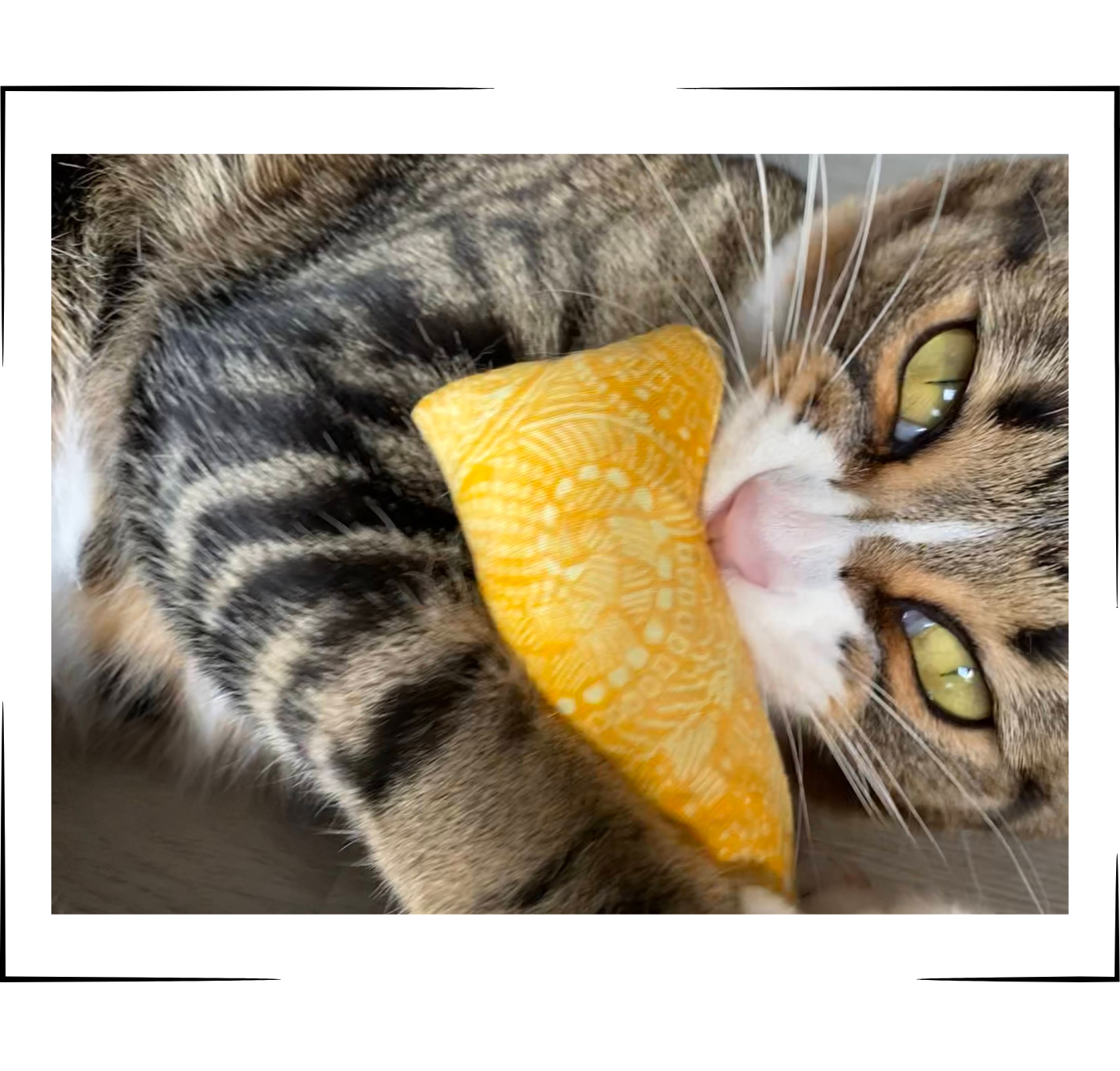Brown Tabby Cat Playing with The Luminous Pets Catnip and Valerian Root Cat Toy