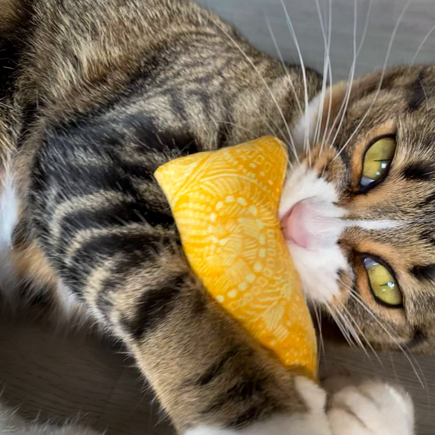 Brown Tabby playing with catnip and valerian root cat toy handmade by The Luminous Pets