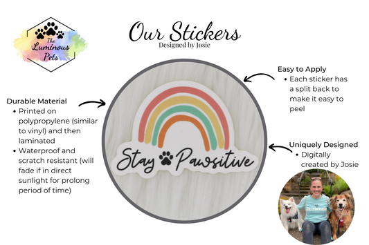 Stay Pawsitive Sticker | The Luminous Pets