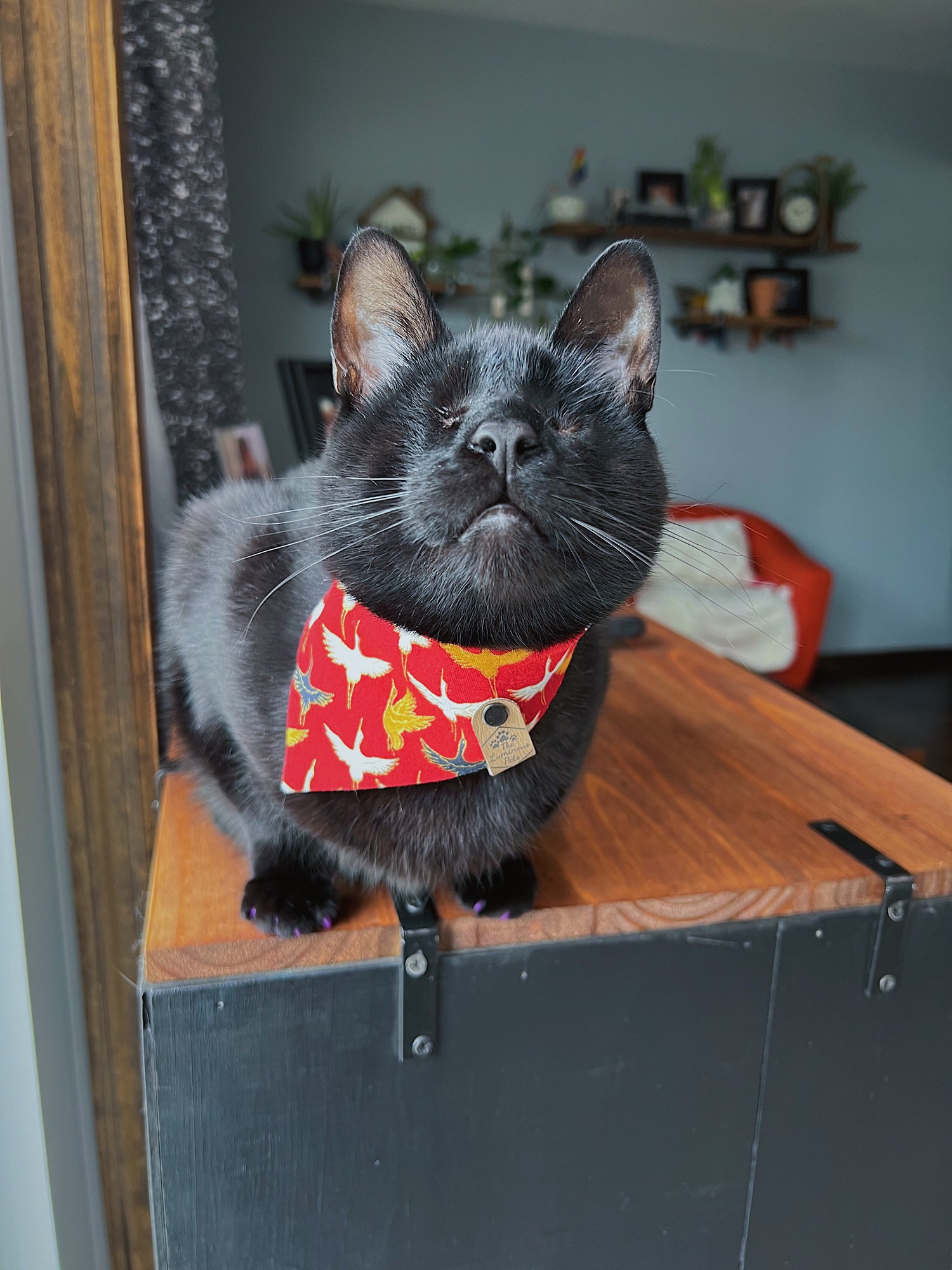 Sale: Small Bandana