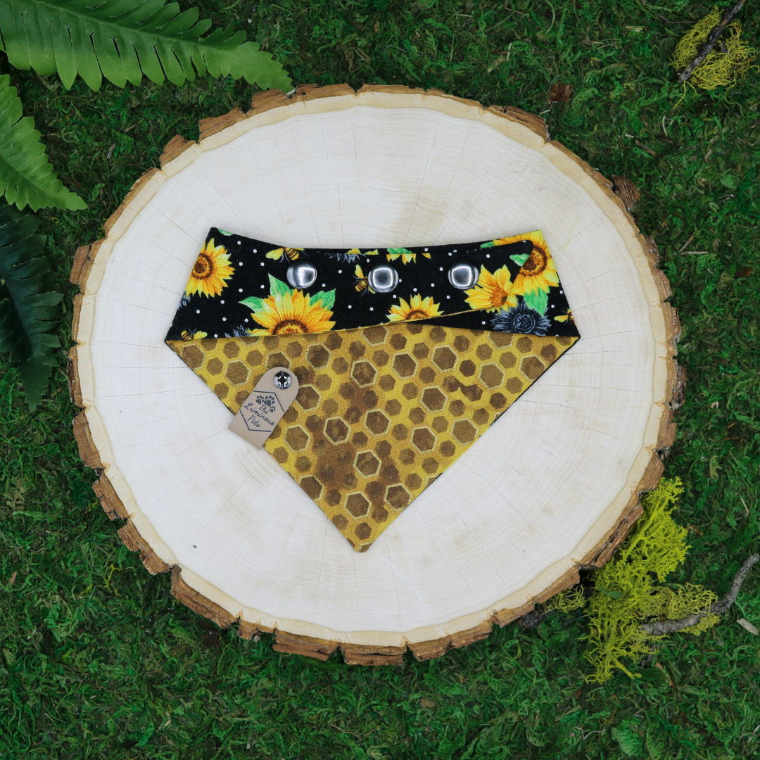 Bees and Sunflower Reversible Snap on Bandana by The Luminous Pets