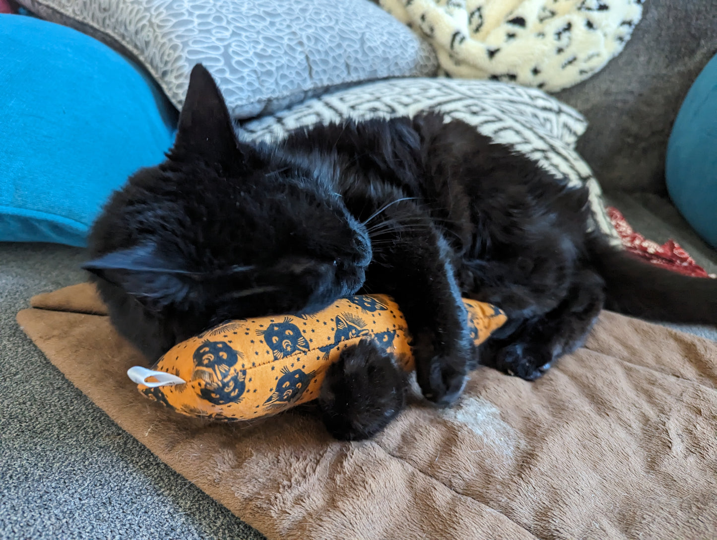 Black Cat with halloween catnip toy