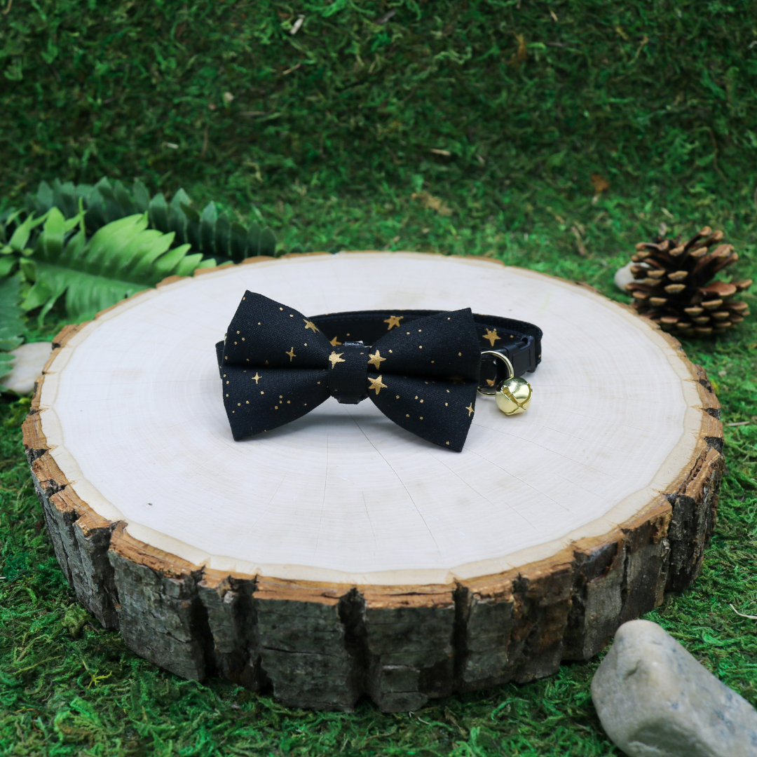 black and gold stars cat bow tie and breakaway cat collar Made by Cleo