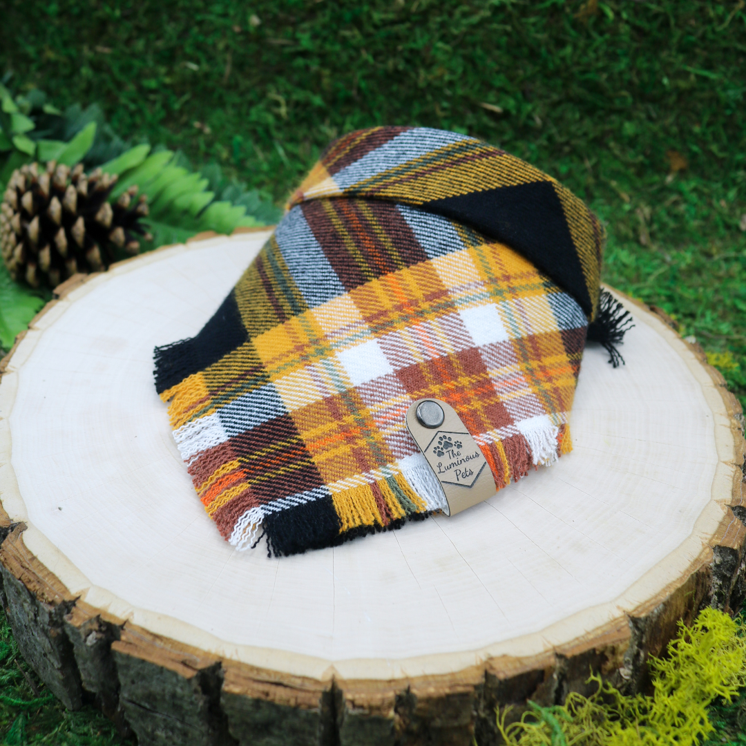 Black and yellow plaid  snap on pet bandana by The Luminous Pets