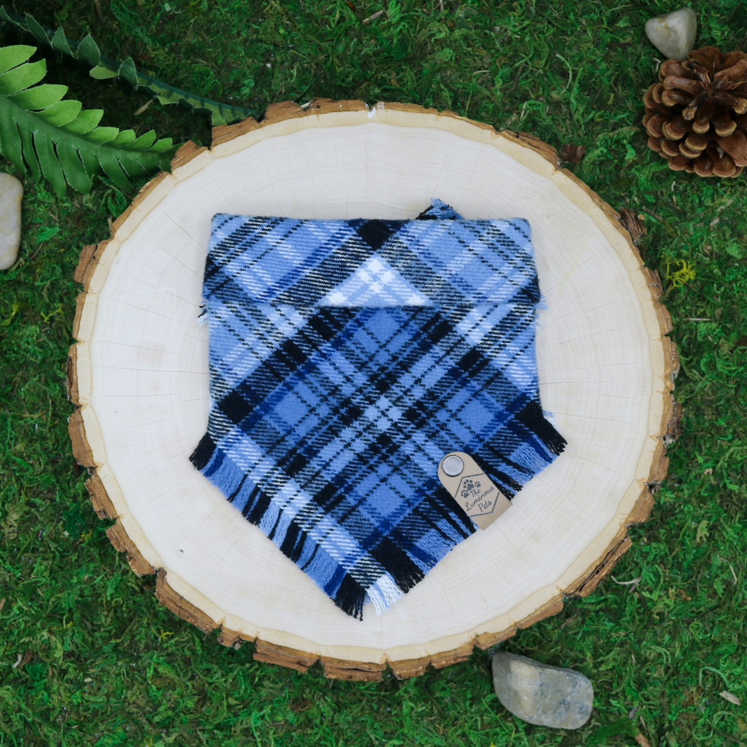 Blue plaid frayed snap on pet bandana | Handmade for cats and dogs by The Luminous Pets