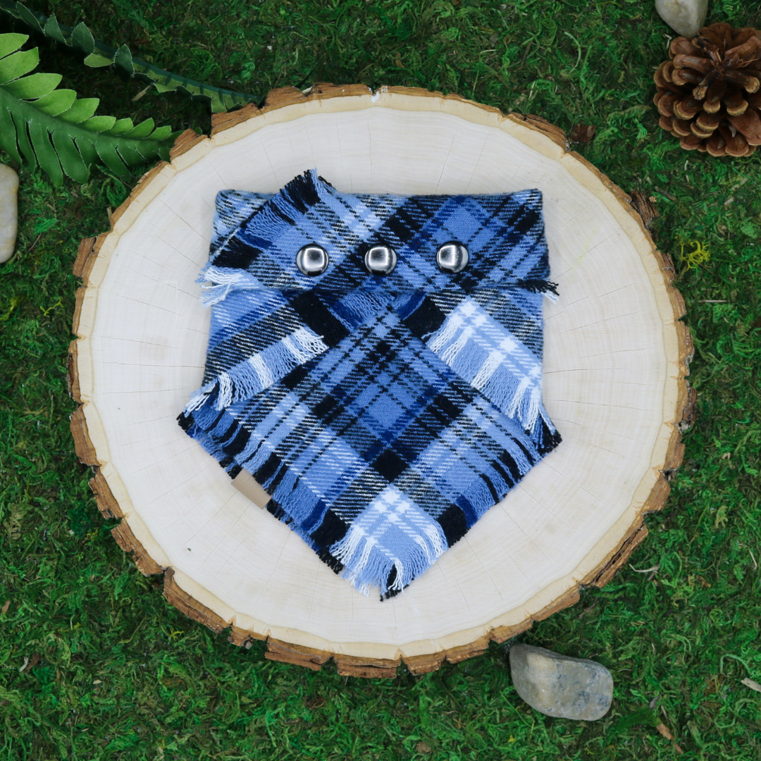 Blue plaid frayed snap on pet bandana | Handmade for cats and dogs by The Luminous Pets