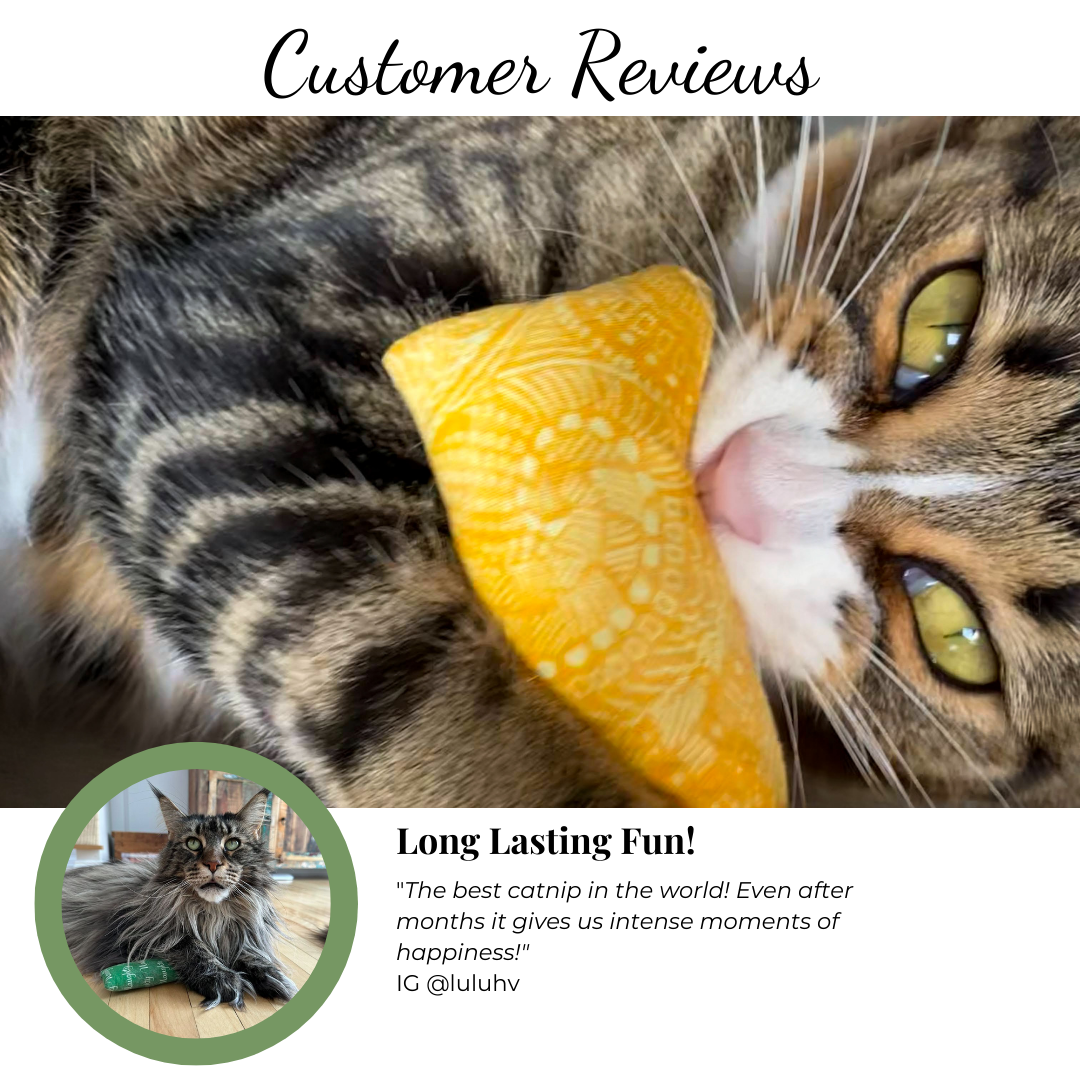 Catnip toy with brown tabby | The Luminous Pets Handmade catnip and valerian root toy