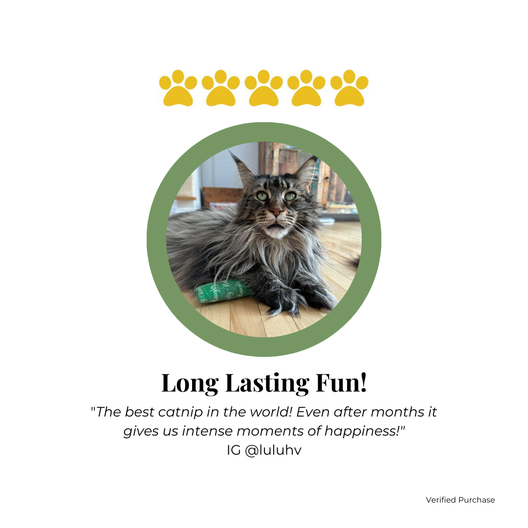 Catnip and Valerian Root Blend Review for The Luminous Pets