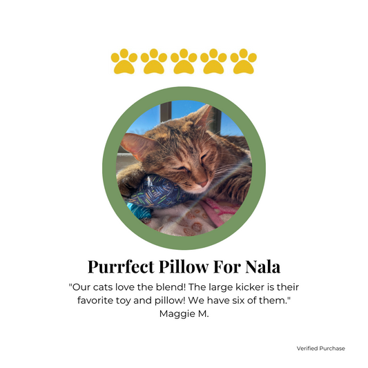 Customer Review for The Luminous Pets Cat Toys