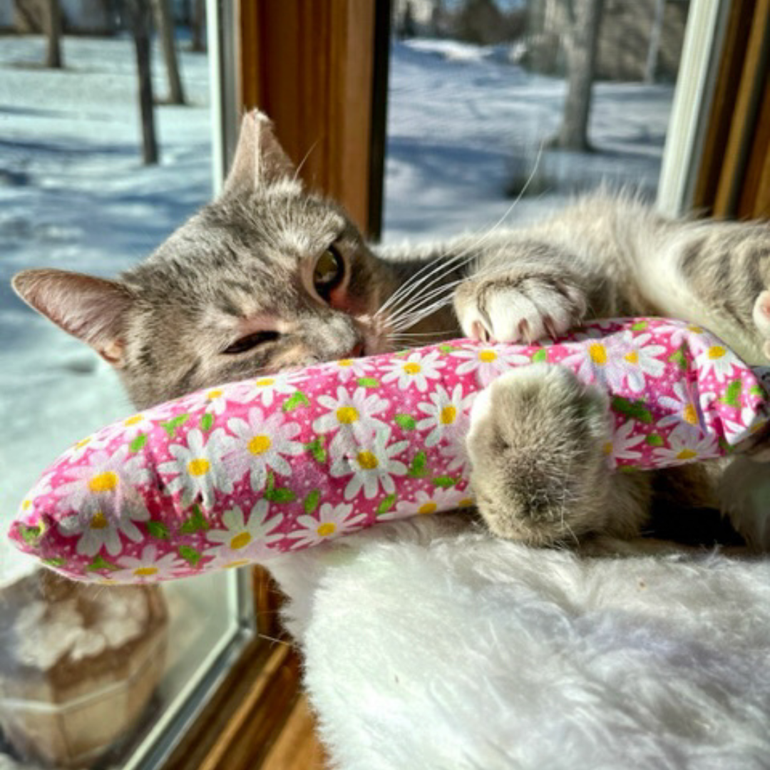 Catnip Toy with Pink Daisies Cat Kicker The Luminous Pets