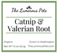 Catnip and valerian root by The Luminous Pets
