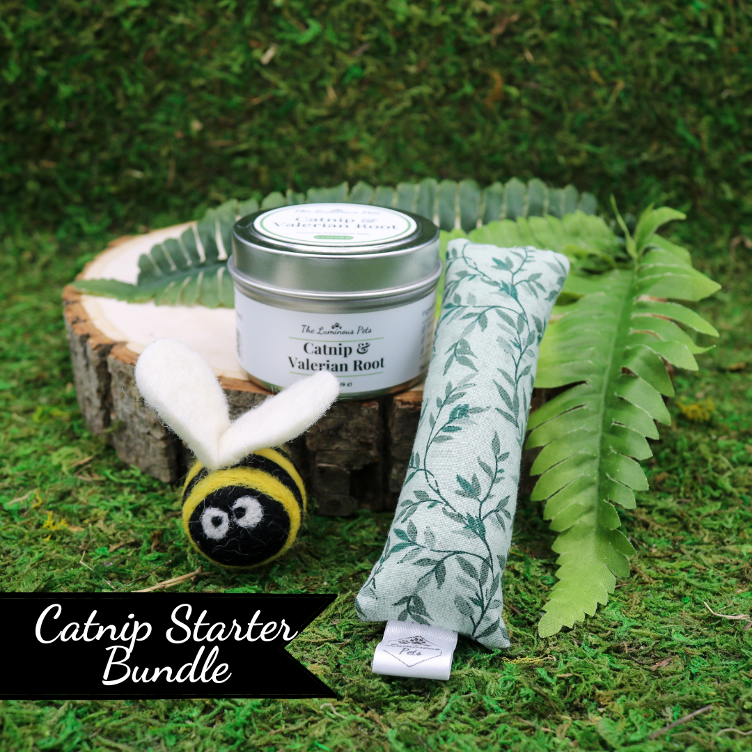 Catnip and Valerian Root Starter Bundle for Cats (Contains Catnip and Valerian Root Loose Leaf, 1 Small kicker toy and a wool bee sprayed with catnip)